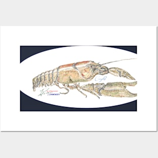 Crayfish on the catch Posters and Art